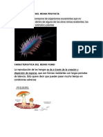 Caracteristica Del Reino Protista