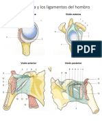 Biomecanica 1 Hombro