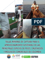 214795807-Tallas-minimas-de-captura-de-las-principales-especies-de-peces-crustaceos-y-moluscos-comerciales-de-Colombia-2013.pdf