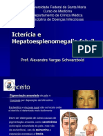 Icterícia e Hepatoesplenomegalia Febril