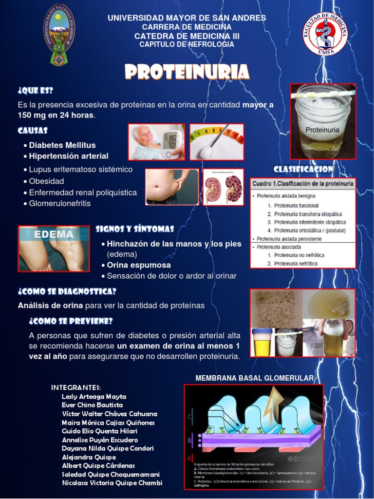Banner Proteinuria | PDF