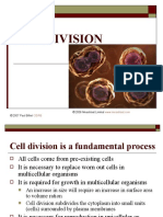 Cell Division: © 2006 Mesoblast Limited © 2007 Paul Billiet