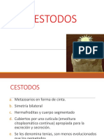 Cestodos