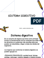 Sistema Digestivo