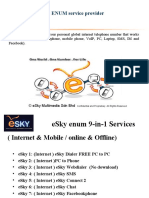 Esky 9-In-1 Services Presentation Show