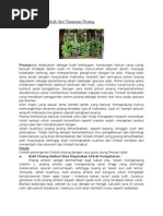 Download IPA by Otika Raisha Arum SN38579707 doc pdf