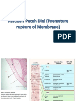 Anatomi, FR, Pathway PROM and PPROM