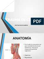 Trauma de Cuello CX