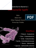 Salmonella Thypi