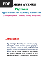 FARMERS AVENUE Pig