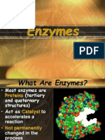 2. Enzyme Ppt