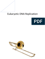 Eukaryotic DNA Replication Origins