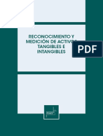 Libro de Reconocimiento de Activos Tang y Intag