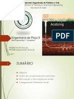 Engenharia de poço I I -Intervenção~Estimulação  - Danos e Acidificação.pdf