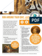 Run Around Tiger Quiz: Tigers Are So Powerful They Can Take Down Prey Which Is 5 Times Their Own Weight