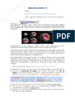 Ejercicio de Pie de Pagina