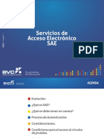 31999_serviciosdeaccesoelectrÓnicosae.pdf