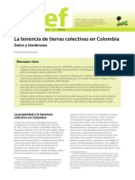 La Tenencia de Tierras Colectivas en Colombia Datos y Tendencias