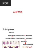 2. Anemia