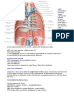 Vena Cava Superiore