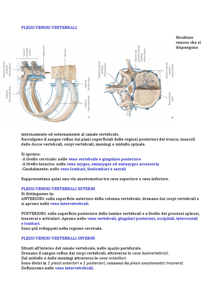 massimoriccimd – QUESTIONI DI CUORE (E DI VASI), image size:768x1024