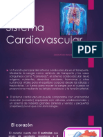 Sistema Cardiovascular DIAPOSITIVA . JHONATAN BUS.pptx