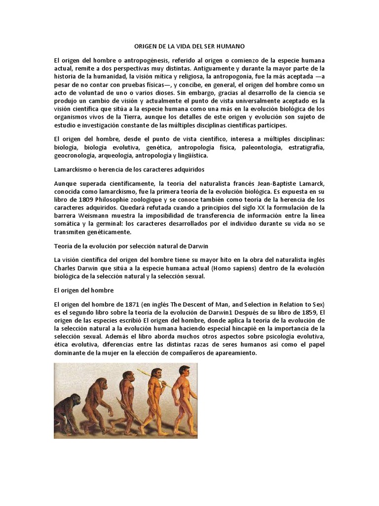 Origen de La Vida Del Ser Humano | PDF | Evolución | Biología