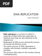 Download Dna Replication by Pina Kacang SN38584212 doc pdf