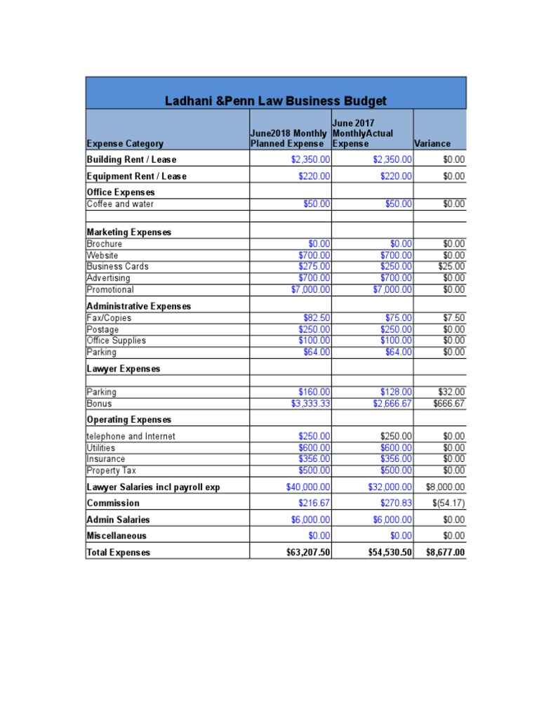 Budgetsimulation | PDF