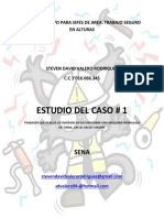 Análisis de Caso Administrativo de Jefes de Area Trabajo Seguro de Alturas Sena