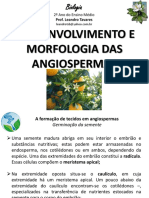 Formação de tecidos e estrutura das angiospermas