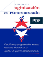 Androginización y Heteorcado - Pedro Bustamante