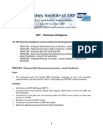 SAP Business Intelligence Outline 2010