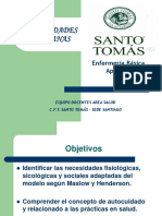 4 Necesidades Humanas PDF