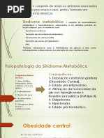 Aula Lad Fisiopato Sindrome Matebolica (1)