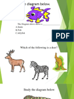 Study The Diagram Below.: The Diagram Above Shows A - A.Snake B.Fish C.Jellyfish