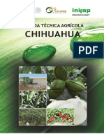 Agenda Técnica Chihuahua OK PDF