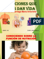 Función de Nutrición