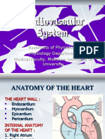 Cardiovascular System