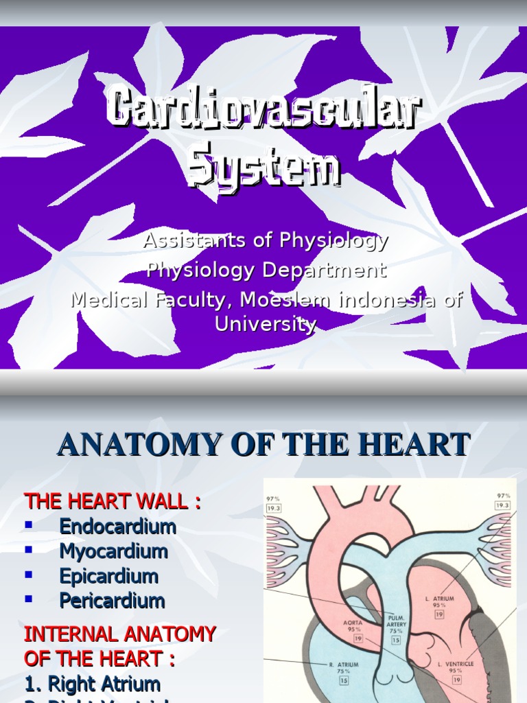 Cardiovascular System | PDF | Heart Valve | Heart