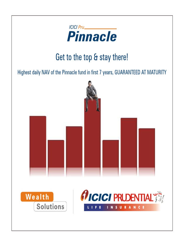 Pinnacle: Get To The Top & Stay There! | PDF | Finance & Money Management
