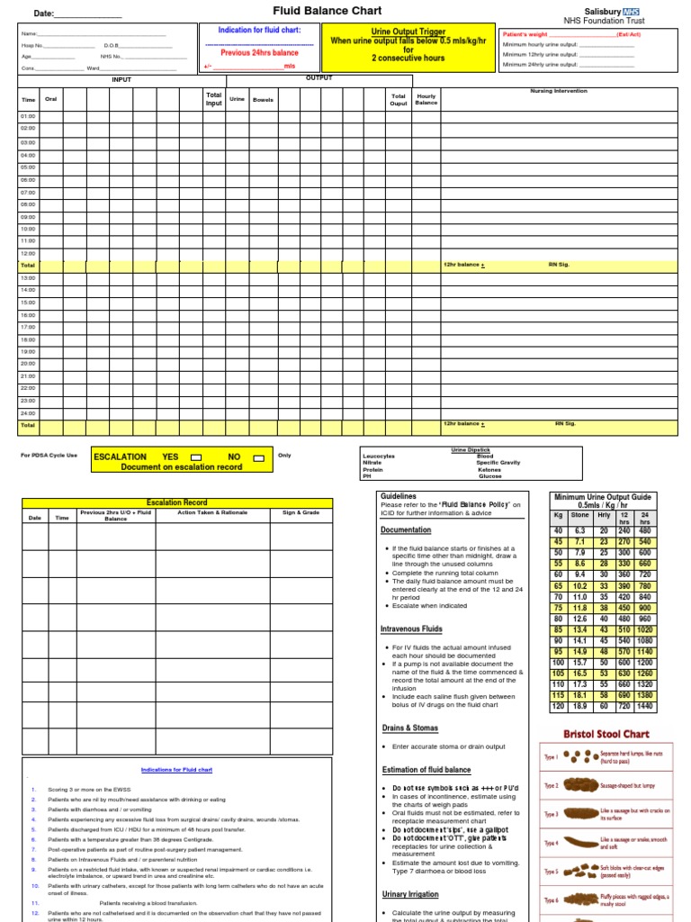 Fluid Balance Chart PDF Intravenous Therapy Health Sciences