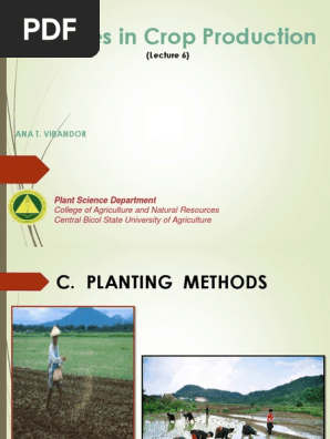 CSn2 lecture 6.pptx