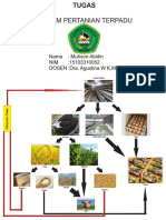 Tugas Pertanian Terpadu 1