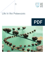 Life in the Palaeozoic Printable