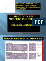 Psicologia Del Musculo Esqueletico