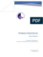 Trabajo Individual