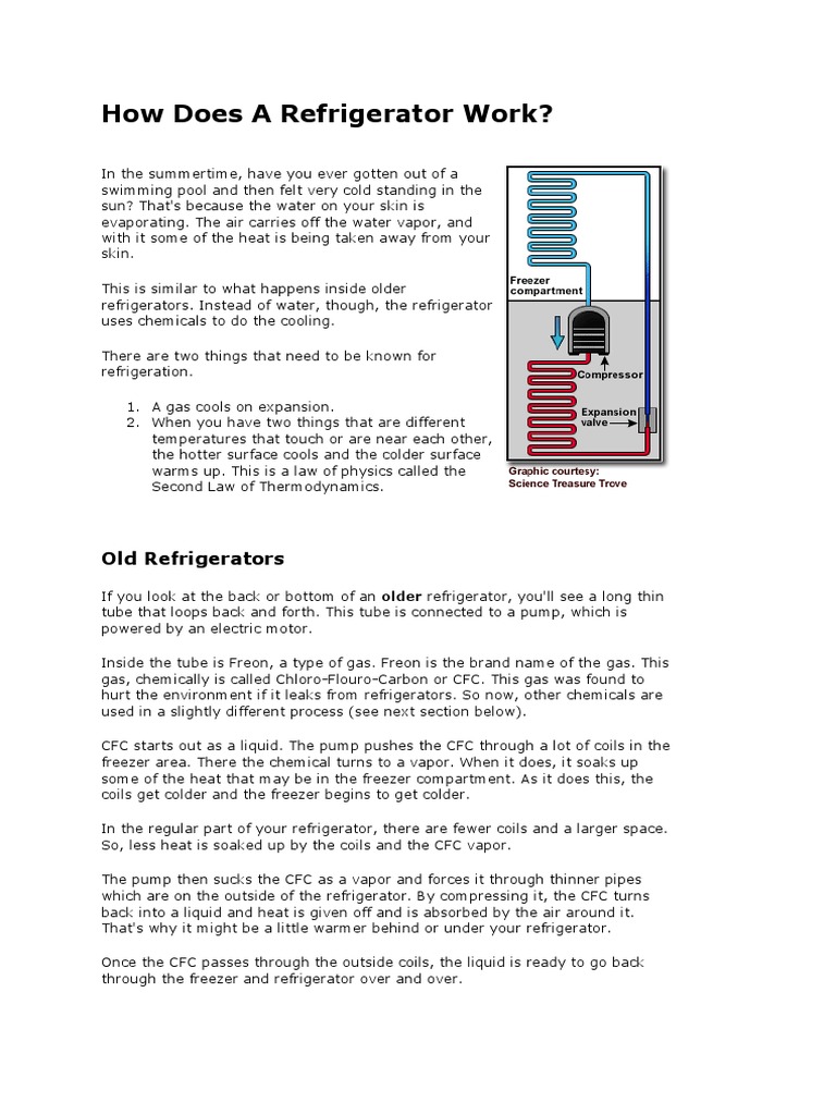 How Does A Refrigerator Work.docx Refrigerador Refrigeración