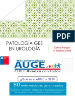 Patologías urológicas GES