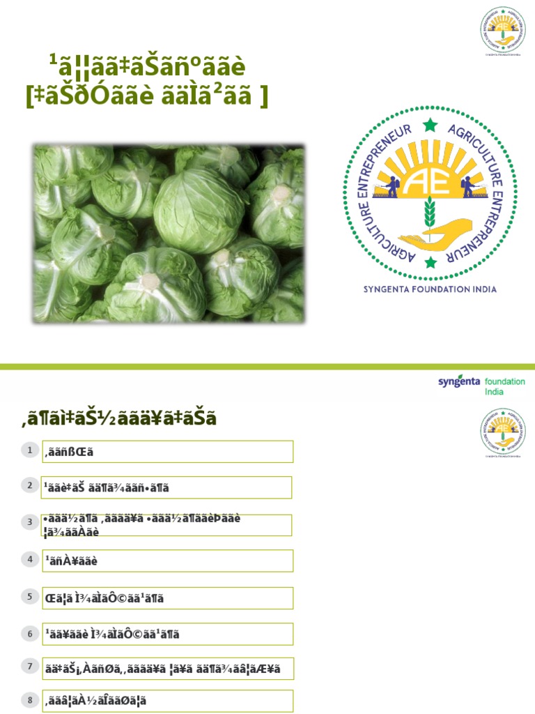 Marathi - Cabbage | PDF | Cabbage | Leaf